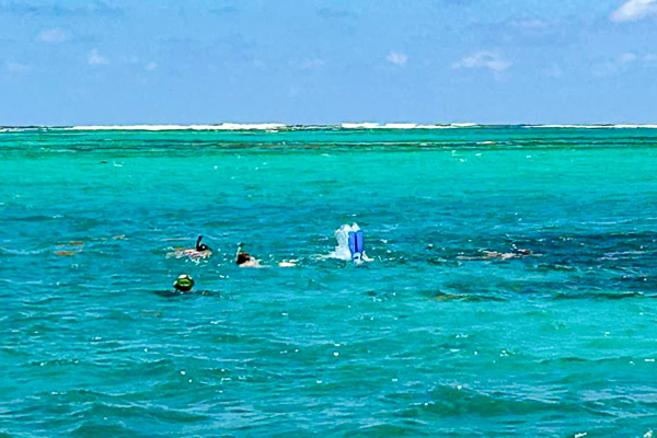 Snorkeling3.JPG (87699 bytes)